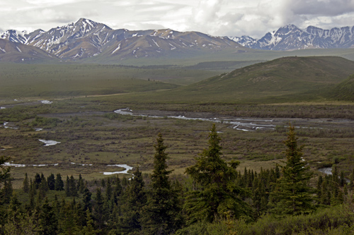 Denali National Park