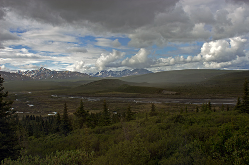Denali National Park