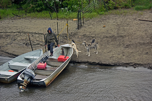 Susan Butcher Doggie Camp - Corrective Mother