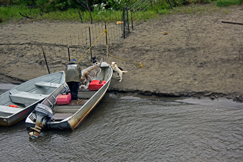 Susan Butcher Doggie Camp - Corrective Mother