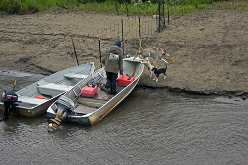 Susan Butcher Doggie Camp - Corrective Mother