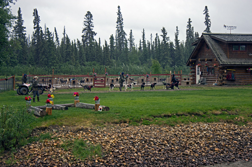 Susan Butcher Doggie Camp