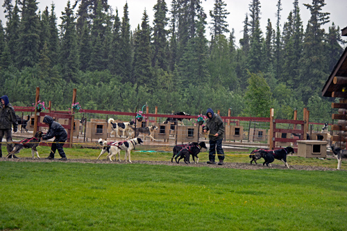 Susan Butcher Doggie Camp
