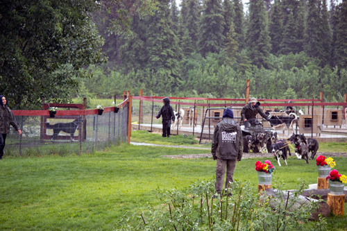 Susan Butcher Doggie Camp