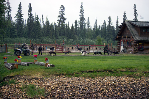 Susan Butcher Doggie Camp