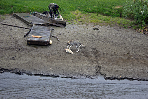 Susan Butcher Doggie Camp - Corrective Mother
