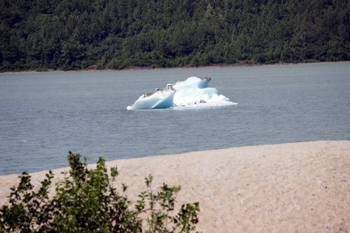 Mendenhall Glacier