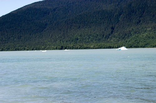 Mendenhall Glacier