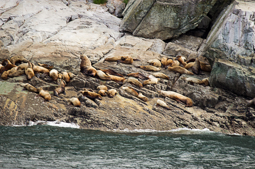 Seals