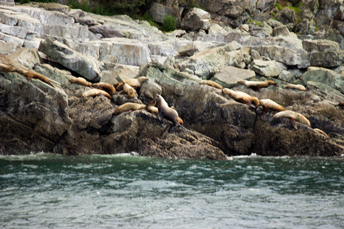 Seals