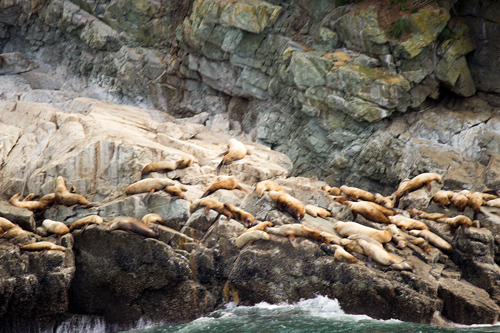 Seals