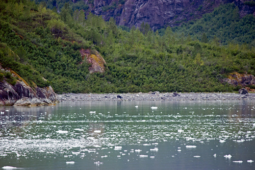 Entering Glacier Bay