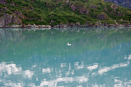 Entering Glacier Bay