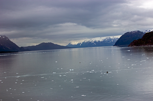 Entering Glacier Bay