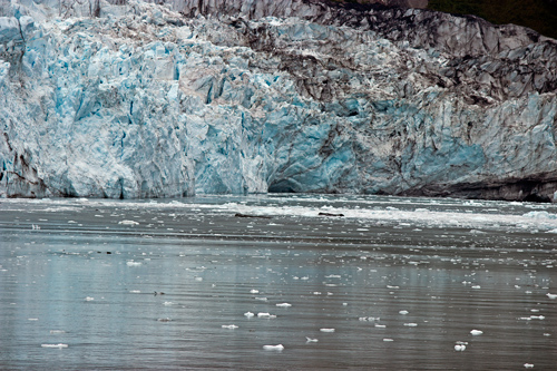 Calving Glacier Ice