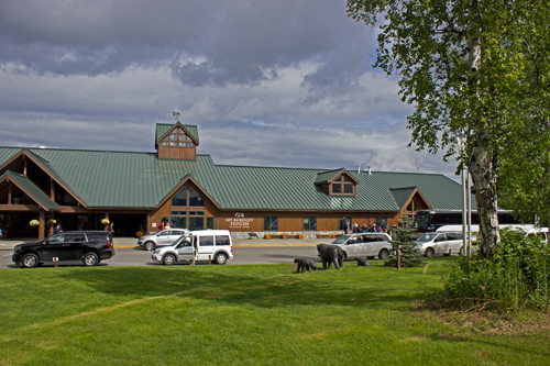 Mt. McKinley Princess Wilderness Lodge