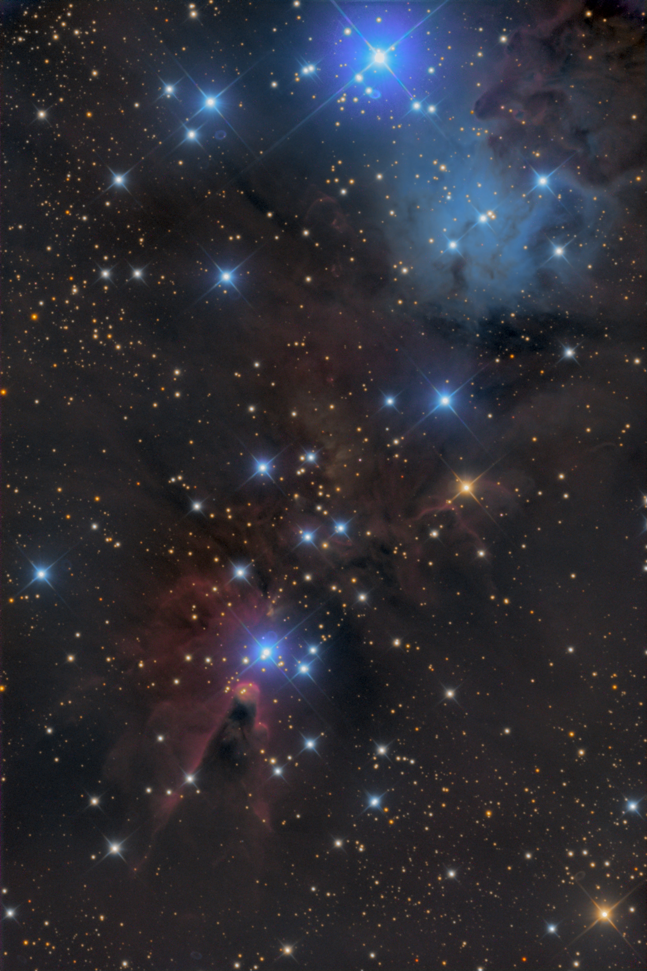 NGC 2264