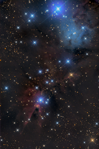 NGC 2264