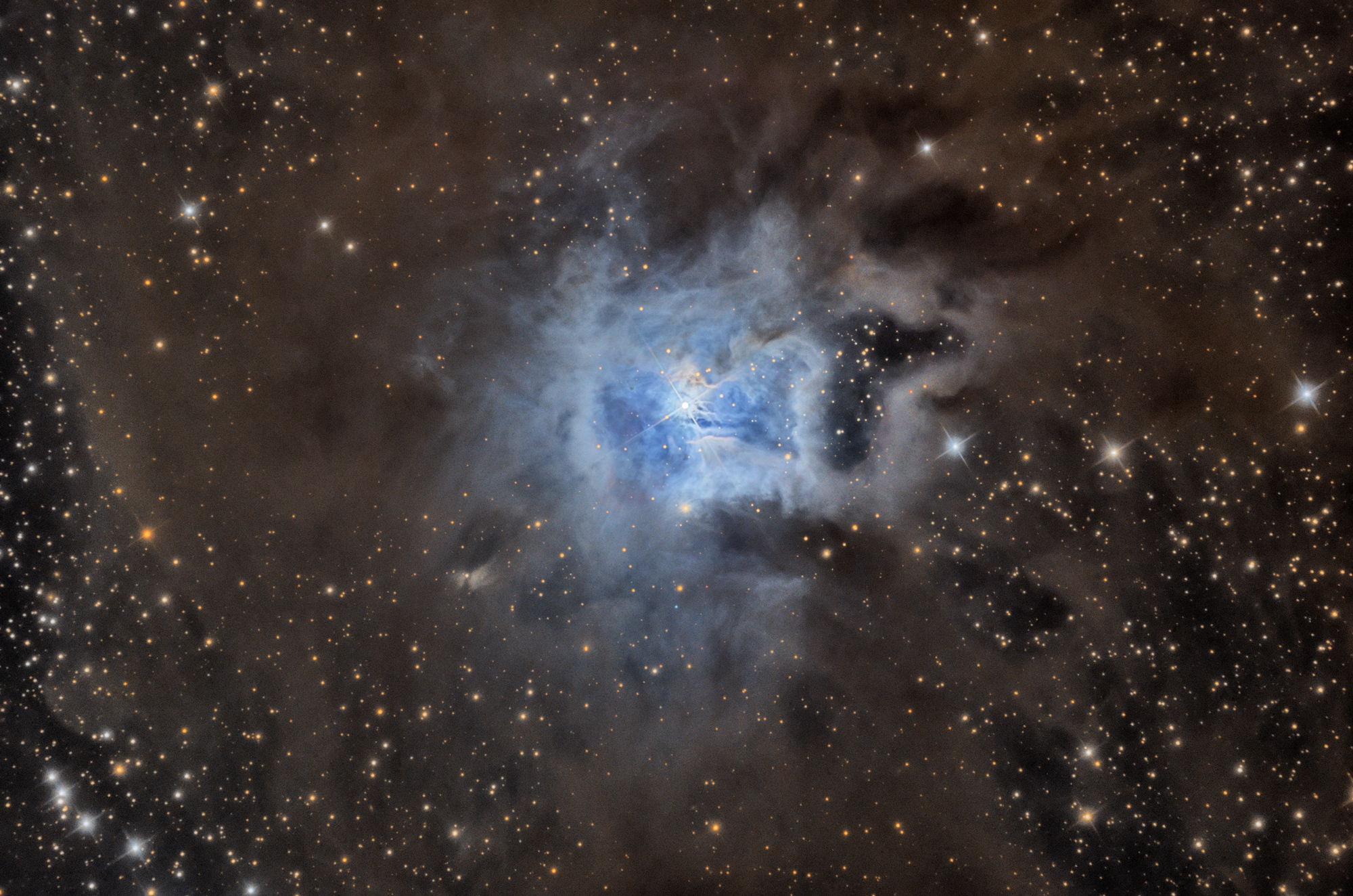 The Iris Nebula