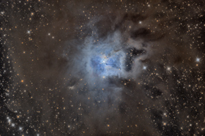 The Iris Nebula