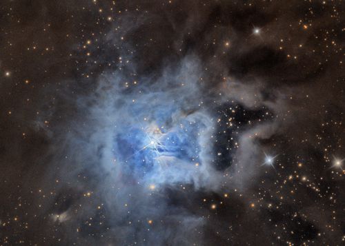 The Iris Nebula