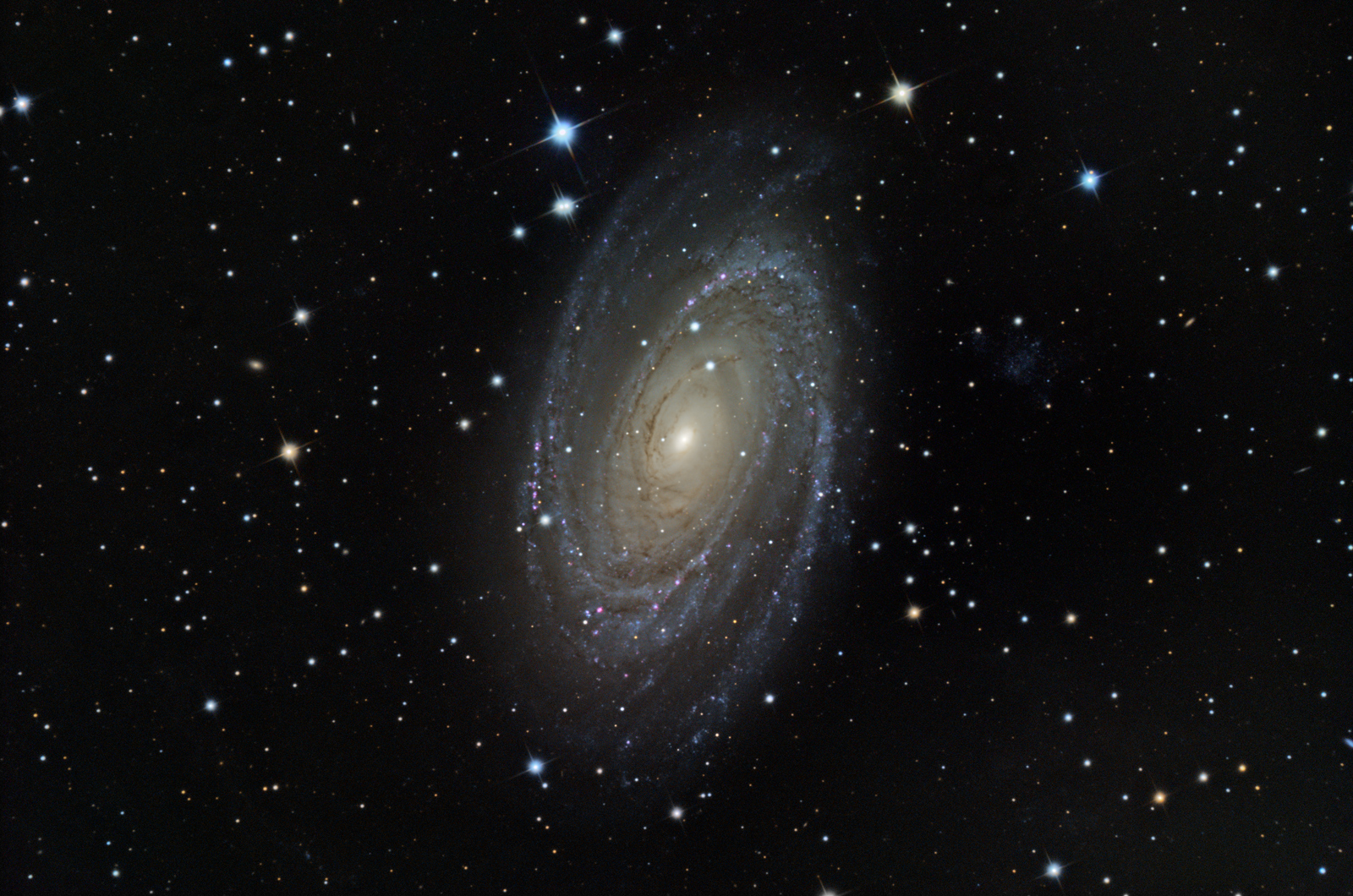M81/NGC3031
