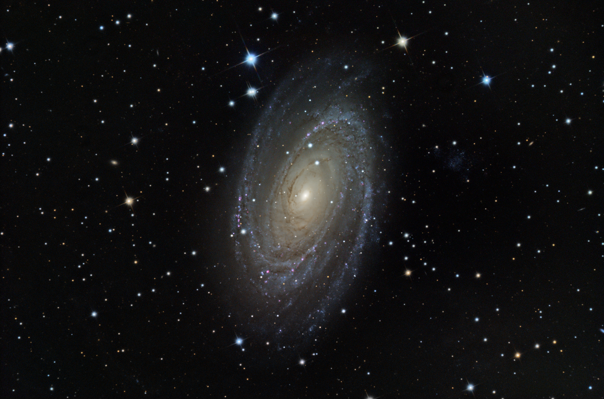 M81/NGC3031