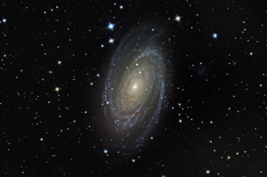 M81