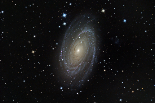 M81/NGC3031
