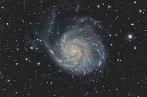M101