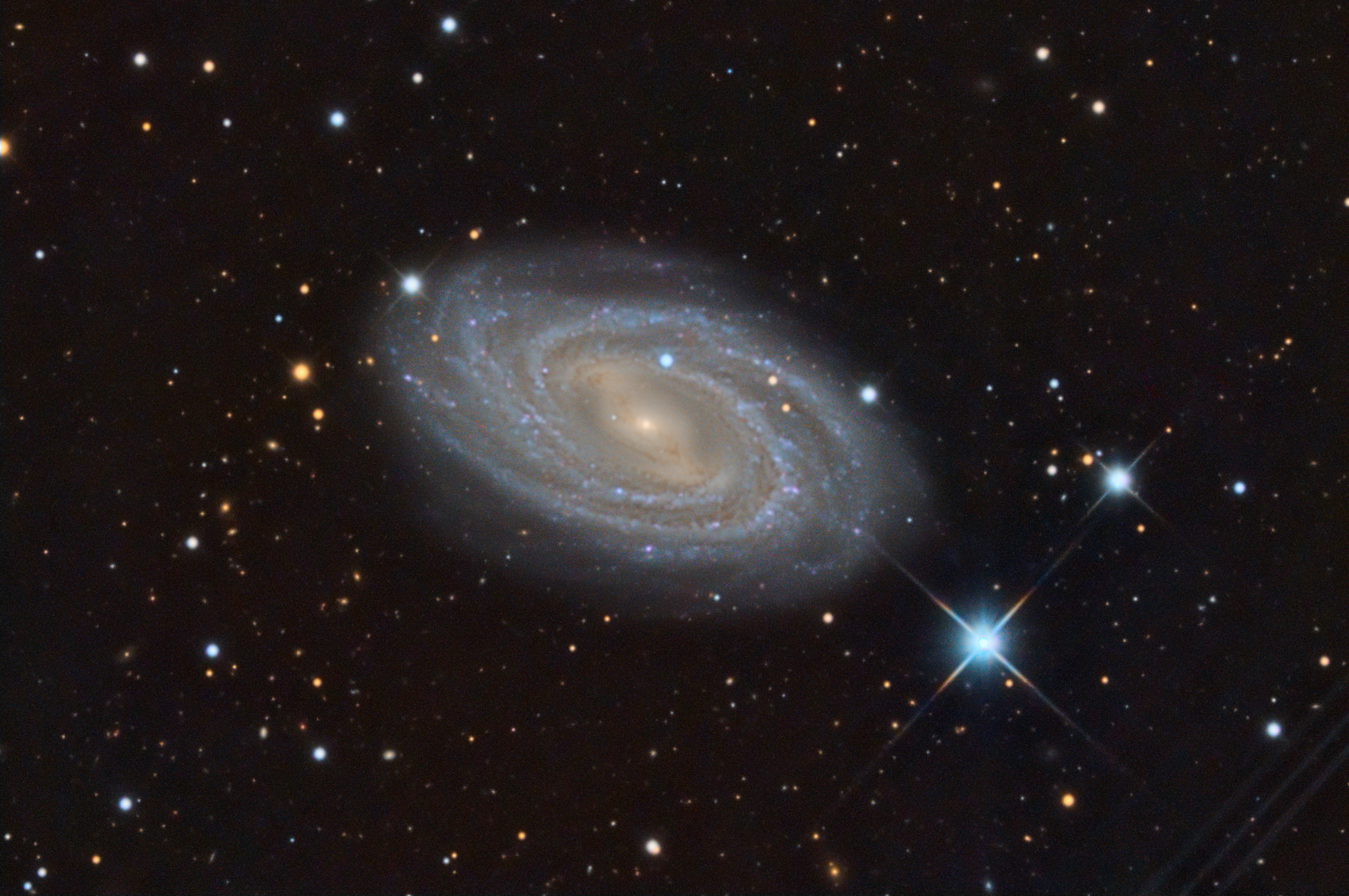 M109
