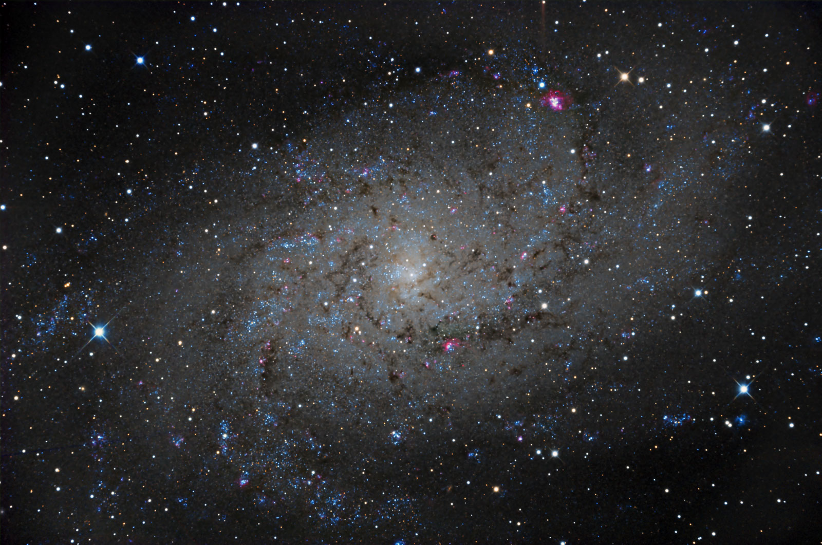 M33