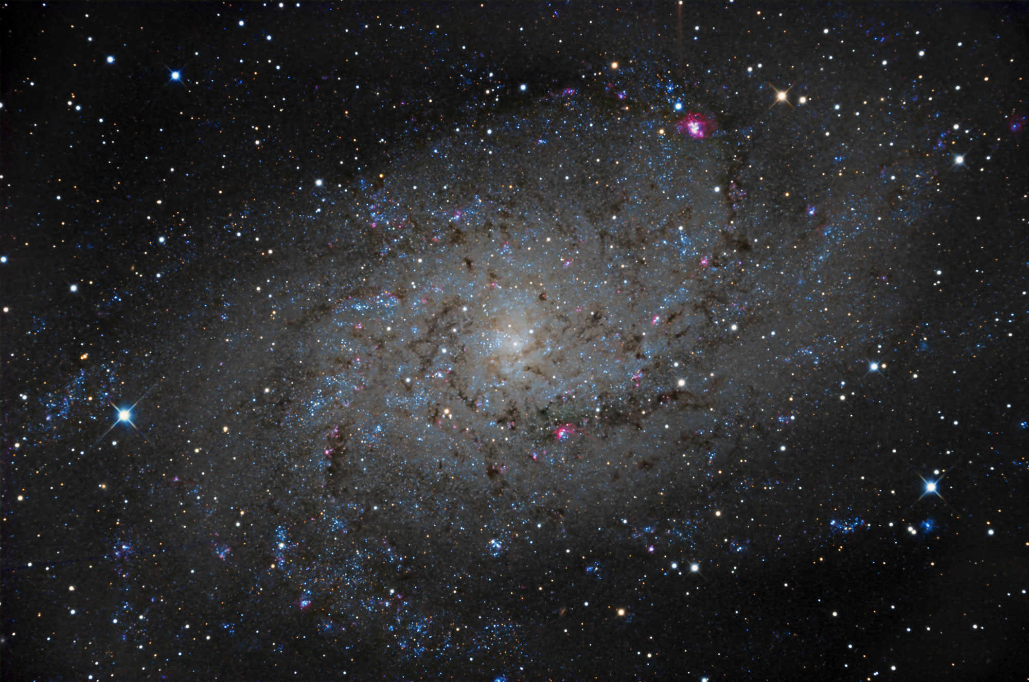 M33