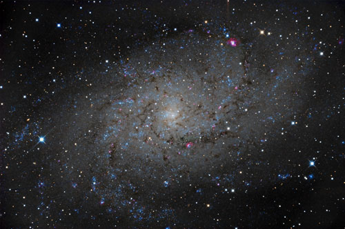 M33
