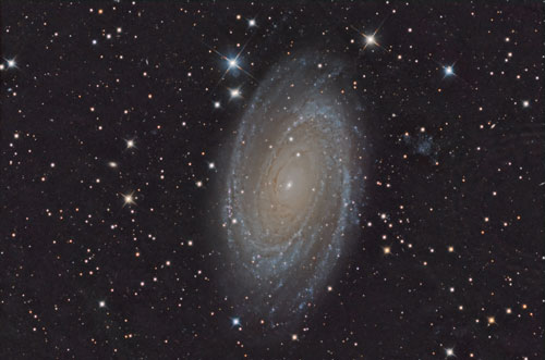 M81