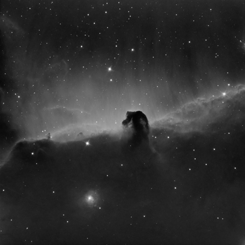 The Horsehead Nebula