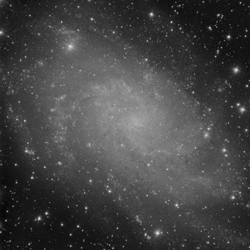 M33