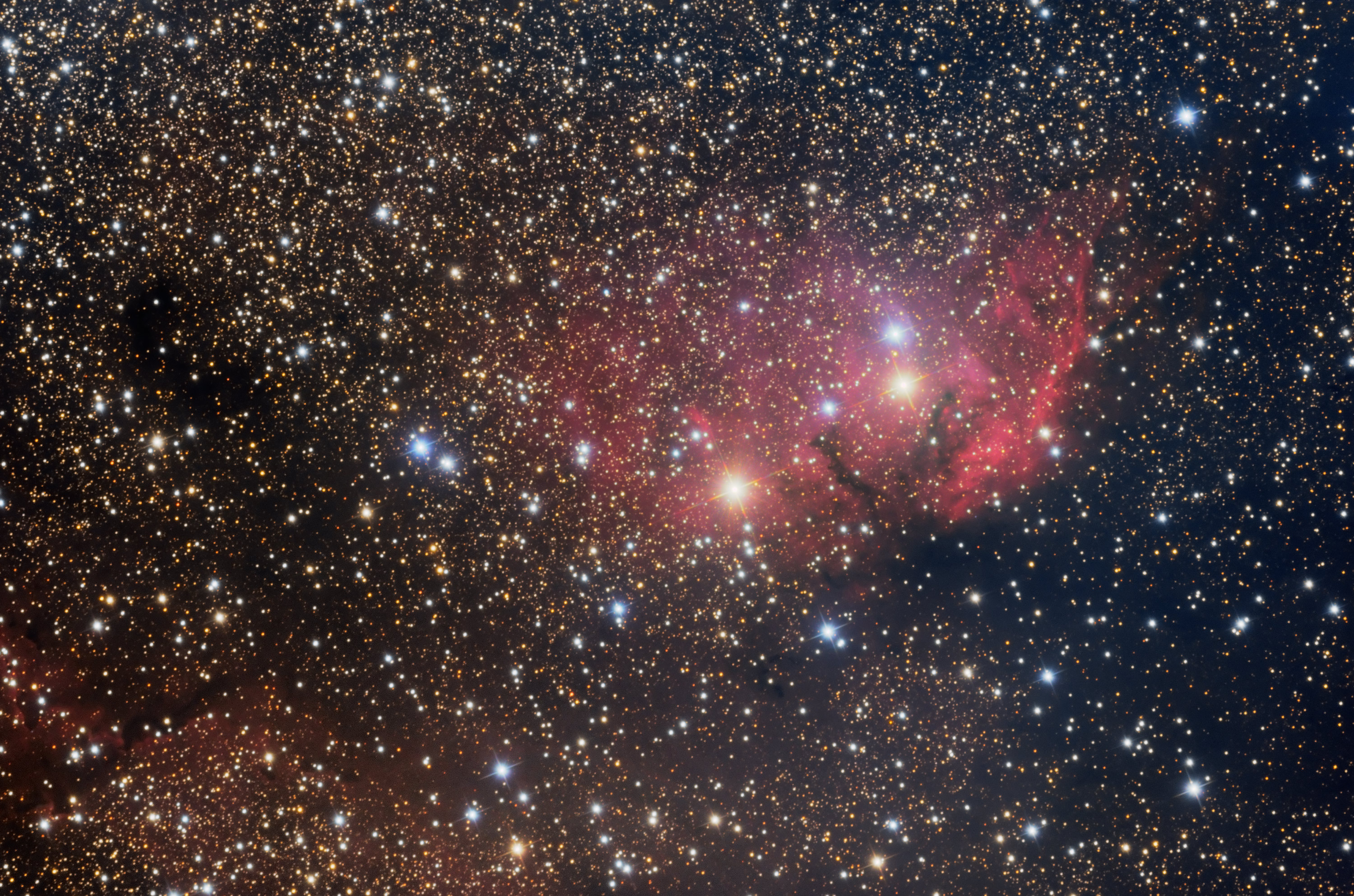 Sh2 101 The Tulip Nebula