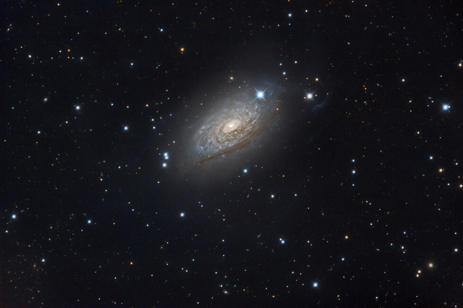 M63 RGB