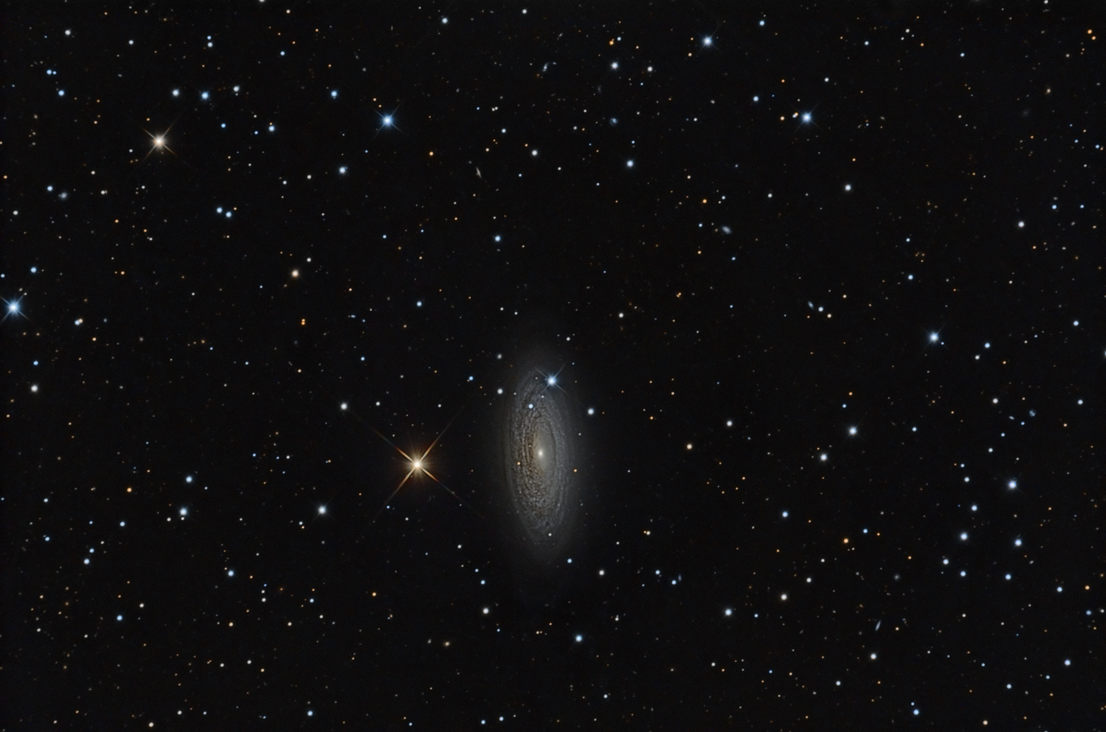 NGC2841