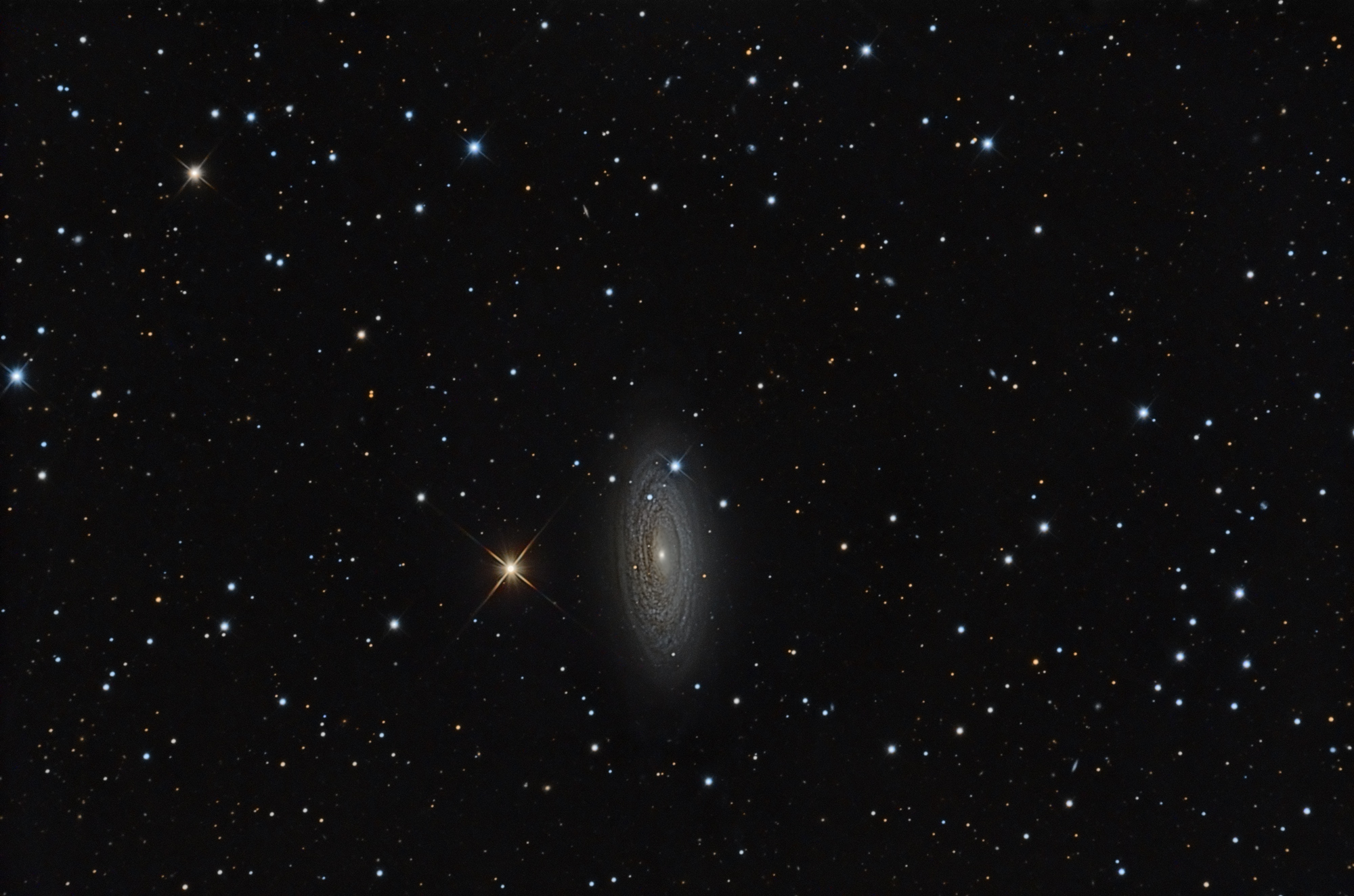 NGC2841