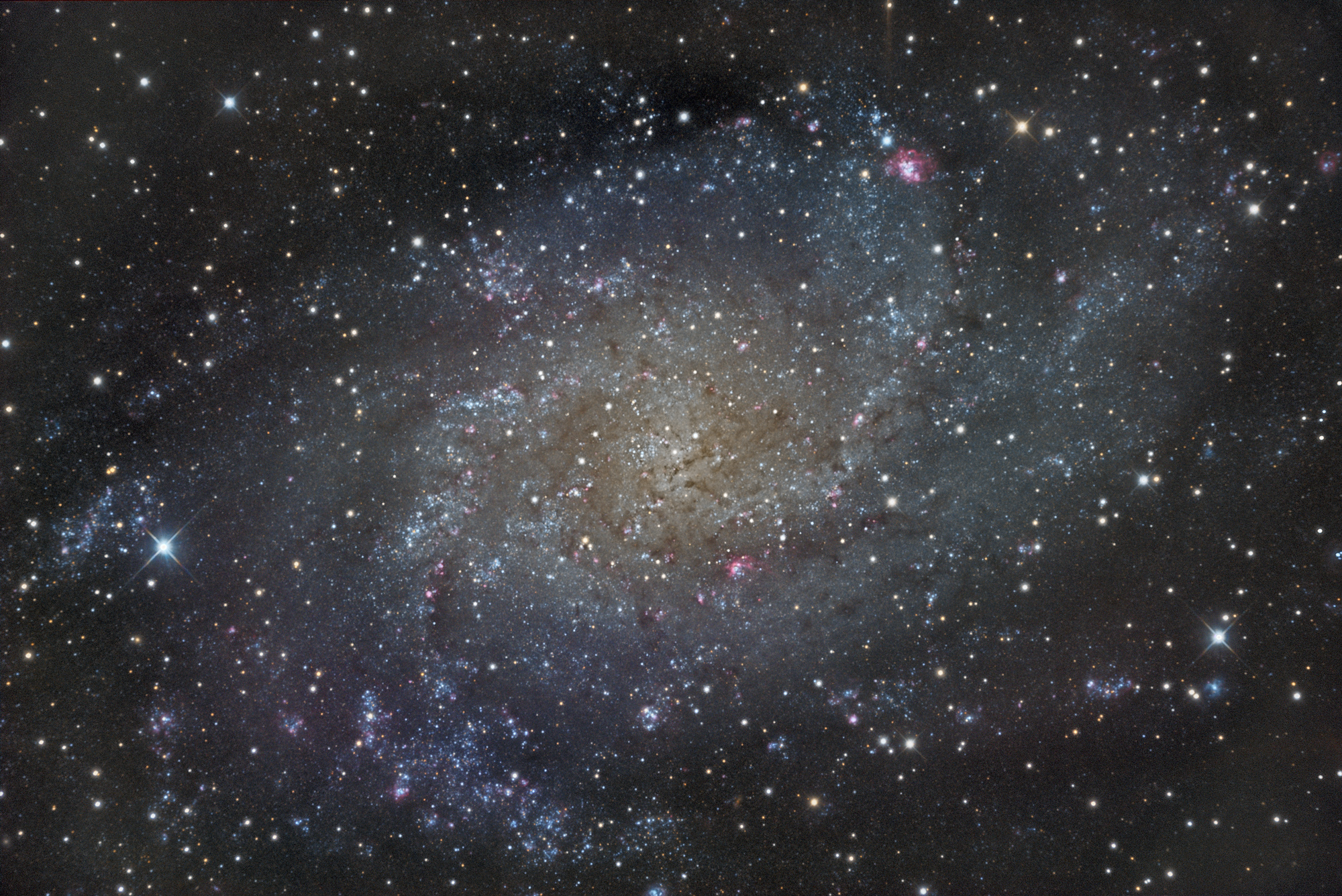 M33