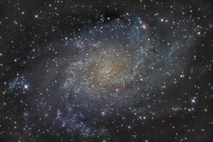 M33