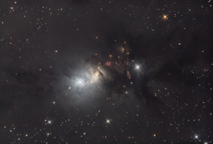 NGC1333