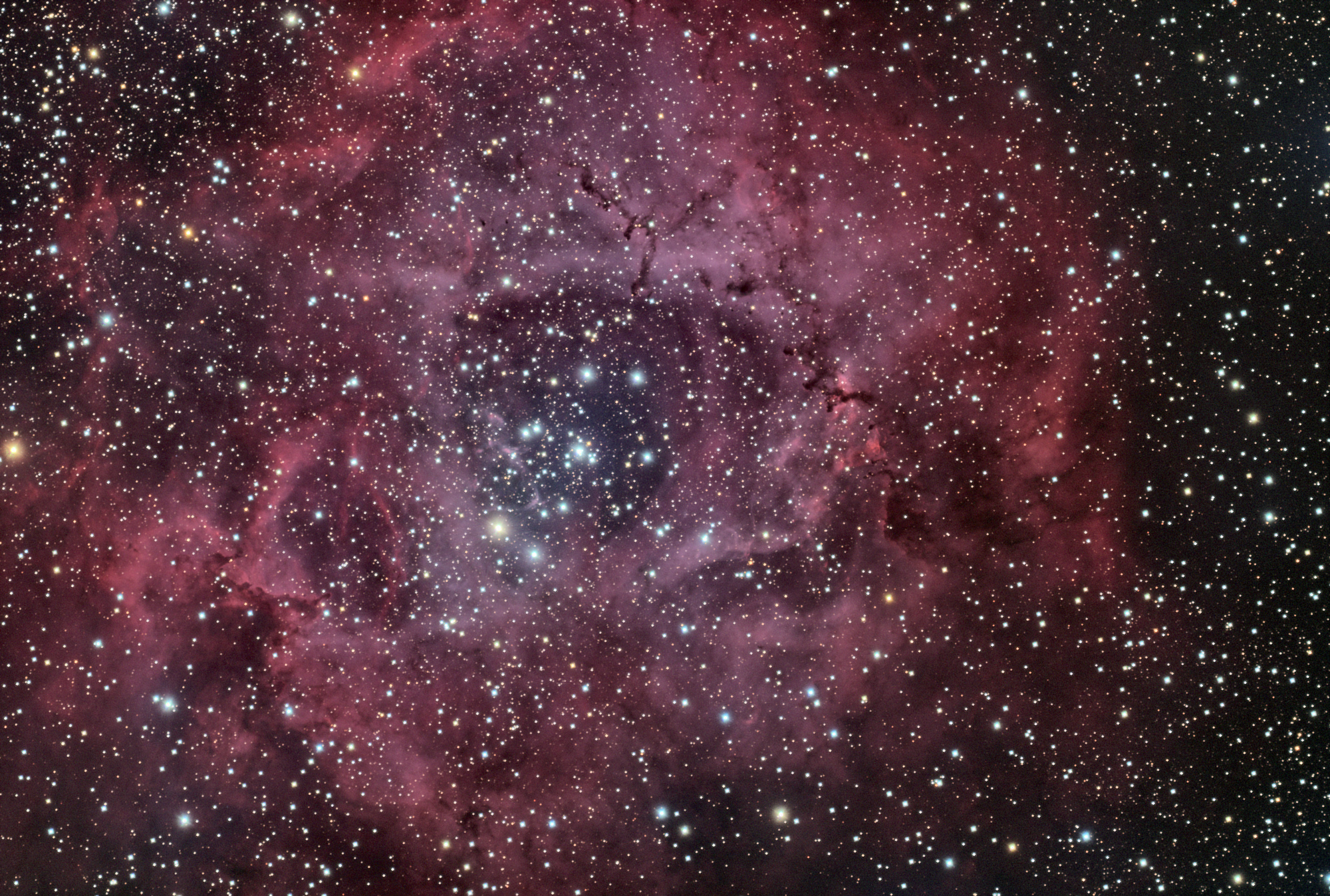 Rosette Nebula